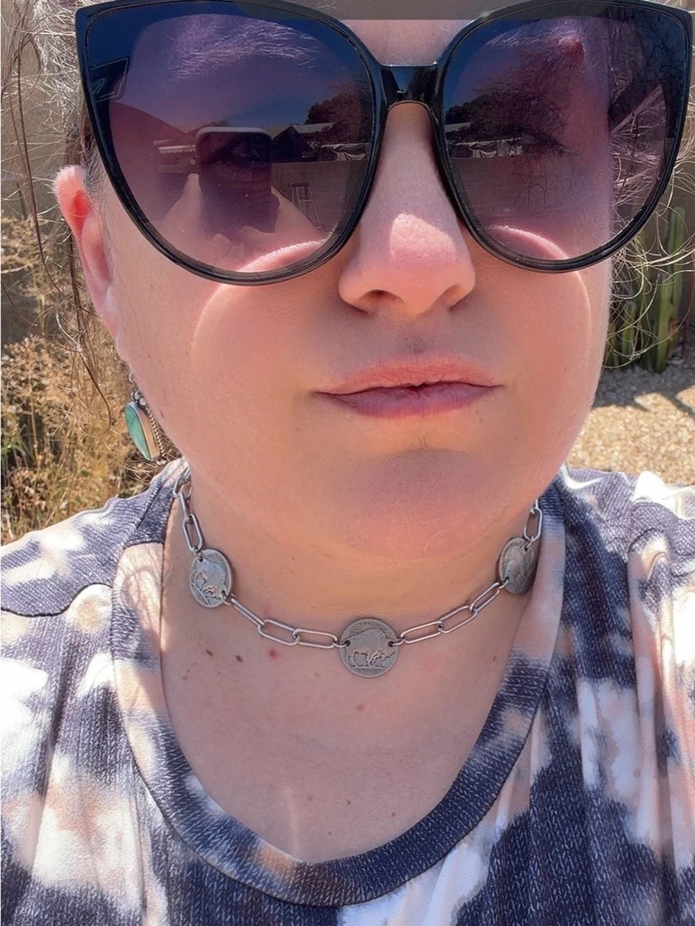 Buffalo Nickel & Stainless Choker Necklace